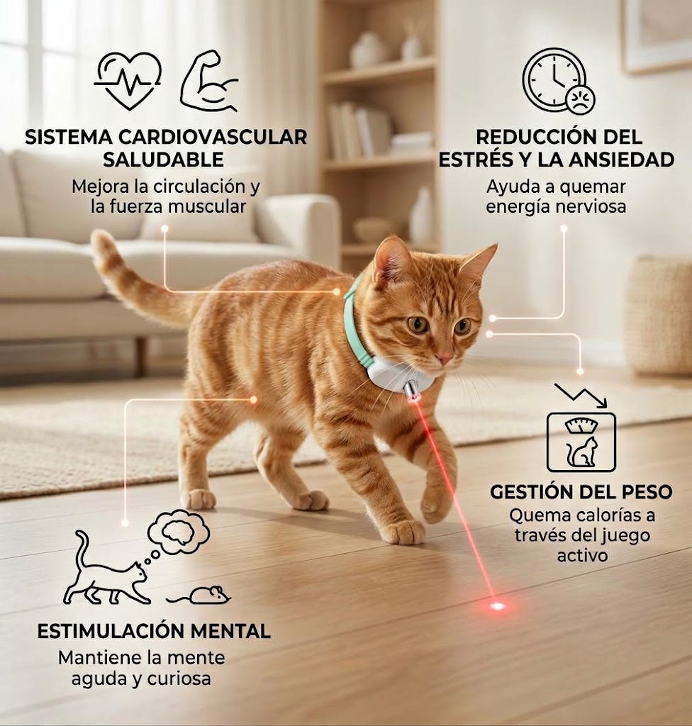 Collar con láser para gatos activos