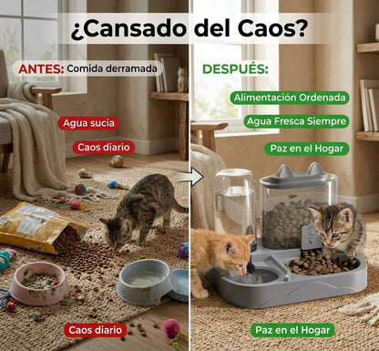 Comedero y Bebedero Antiderrame para Gatos